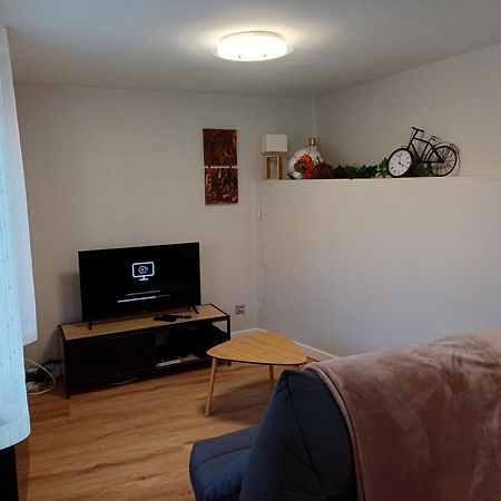 Le Petit Fleck Lägenhet Haguenau Exteriör bild