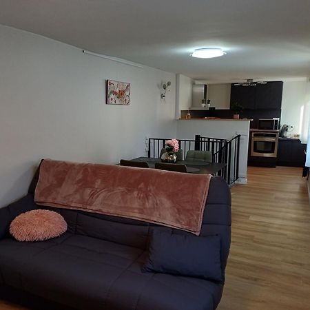 Le Petit Fleck Lägenhet Haguenau Exteriör bild